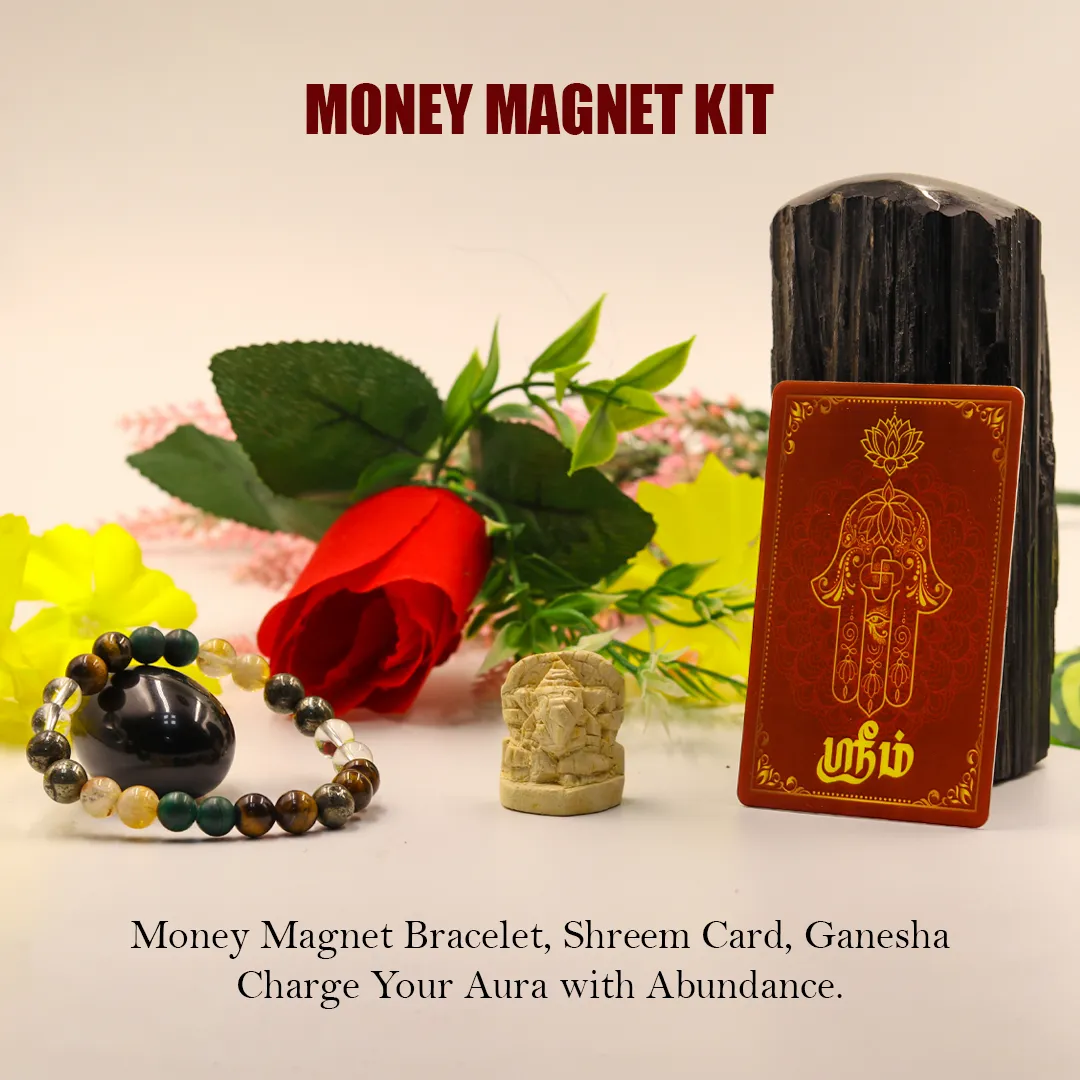 Money magnet kit