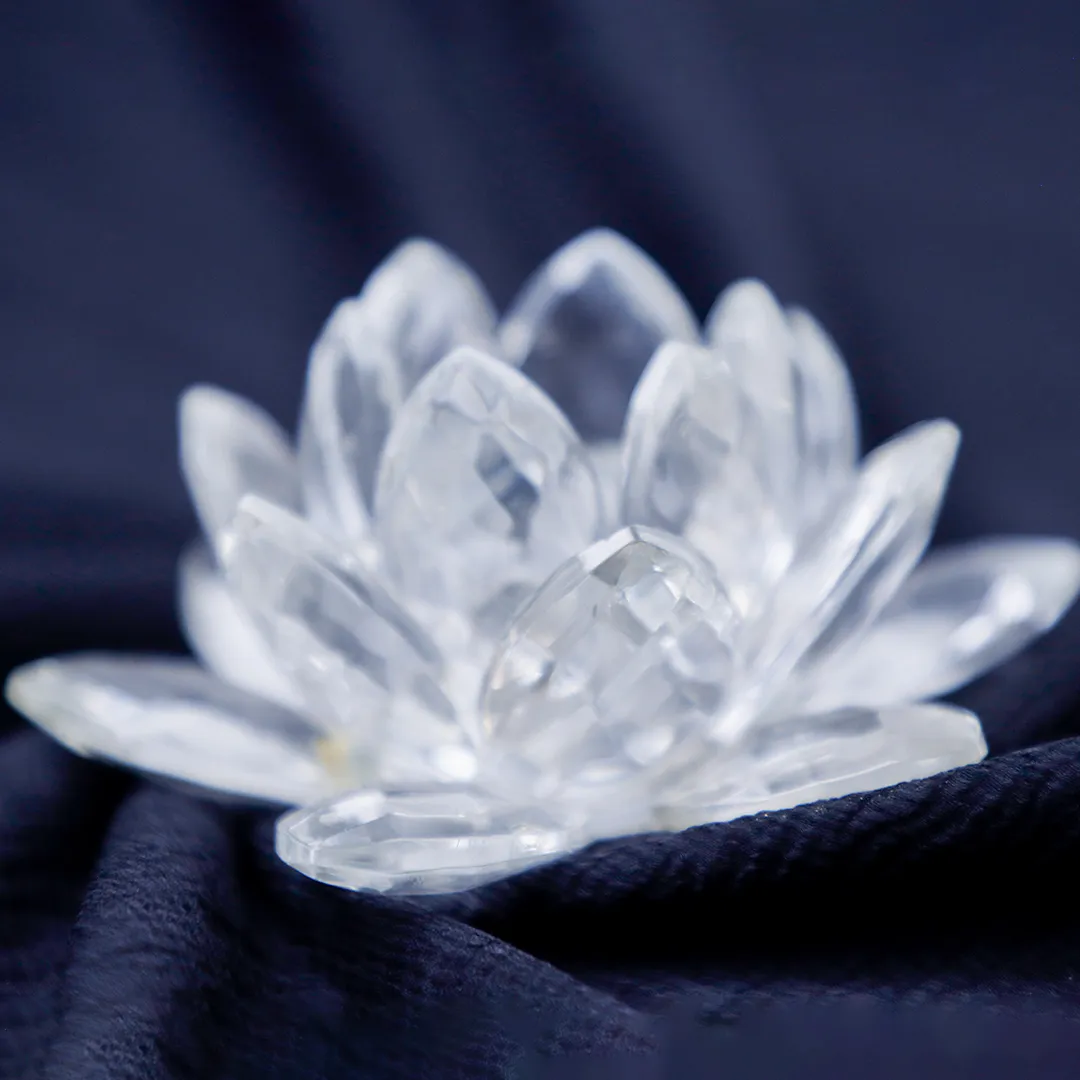 CRYSTAL LOTUS - 2
