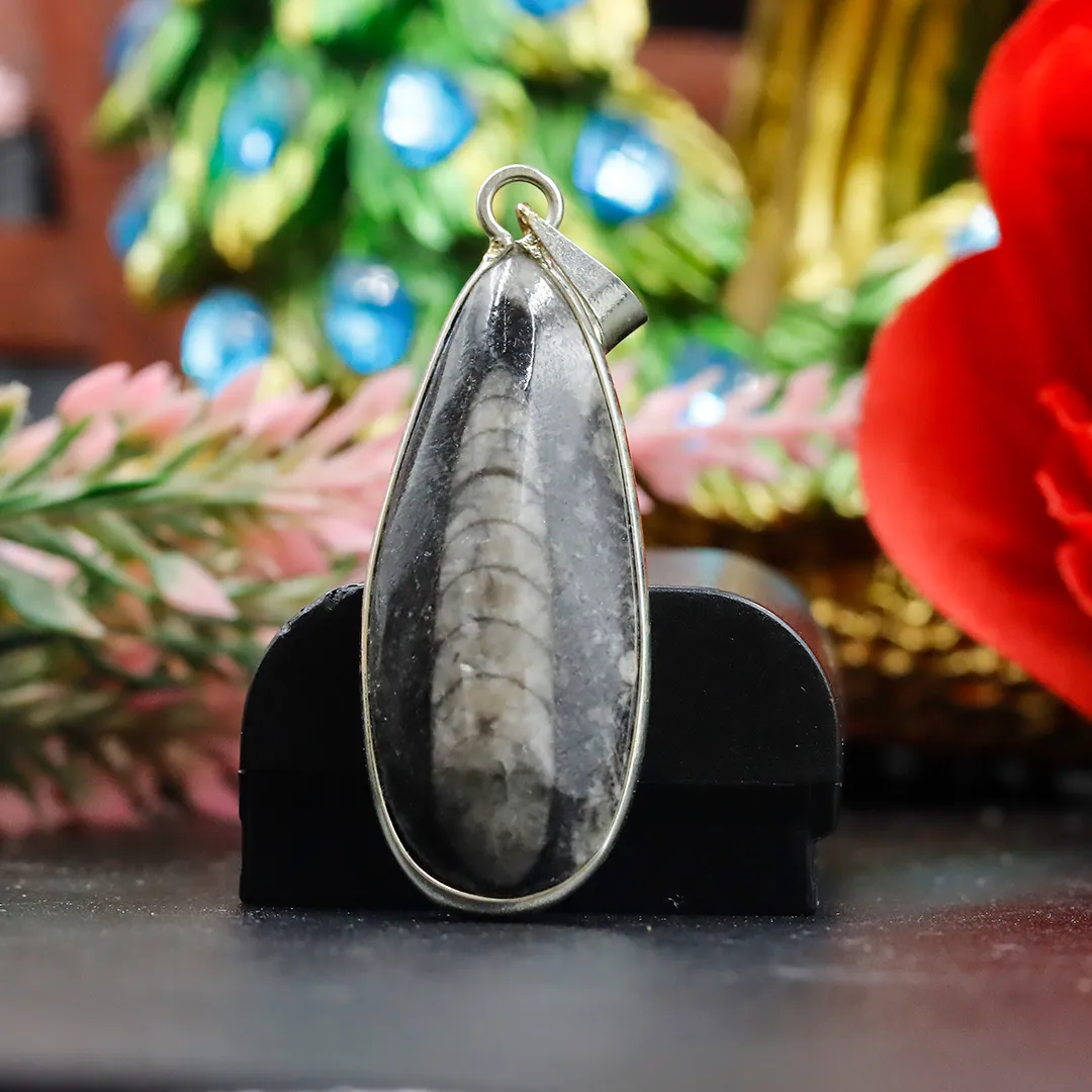 FINANCE PENDANT