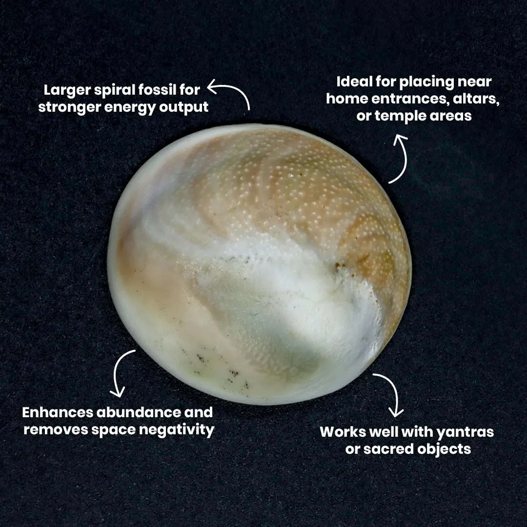 Gomathi Chakra – Big - 2