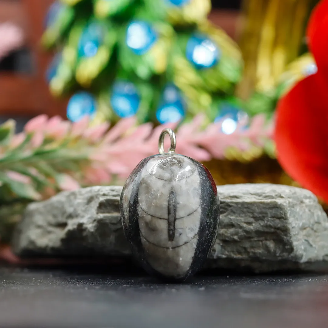 KUBER GRAPES PENDANT - 2