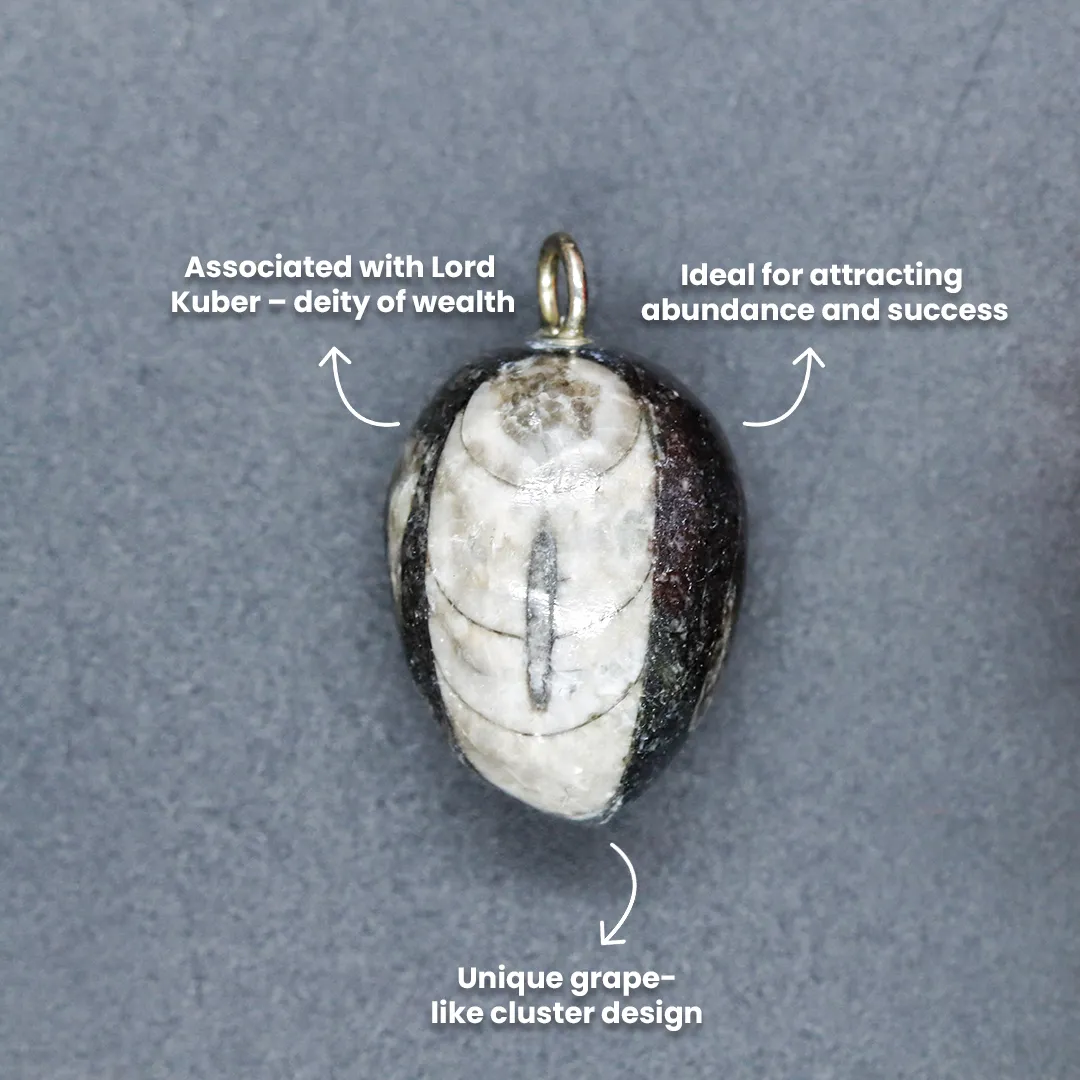 KUBER GRAPES PENDANT - 3