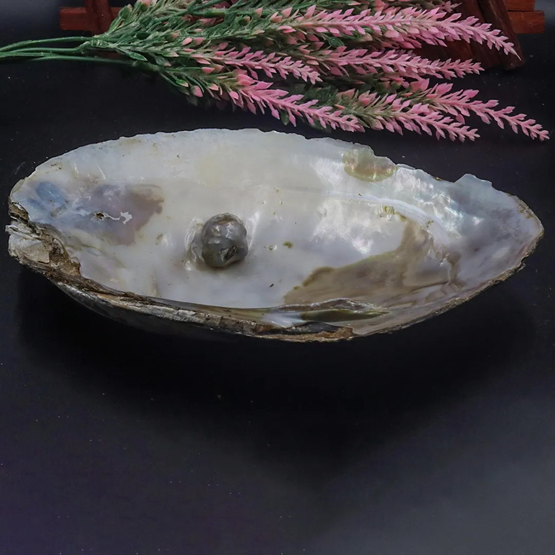 PEARL SHELL STONE