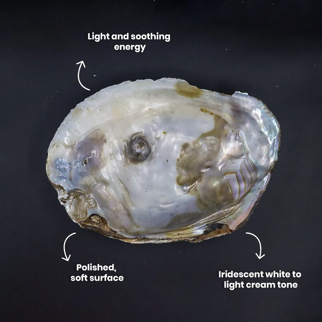 PEARL SHELL STONE - 2