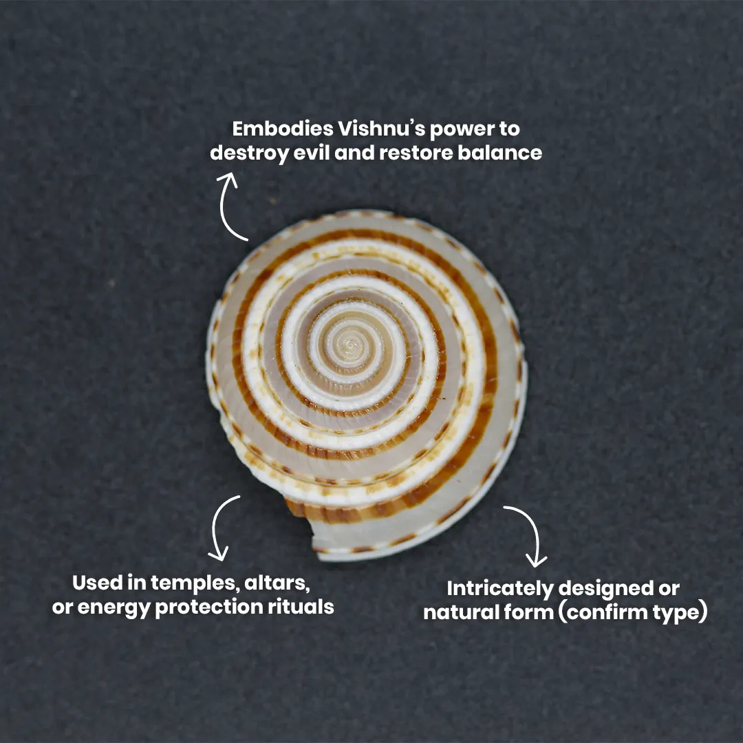 Vishnu Chakra - 2