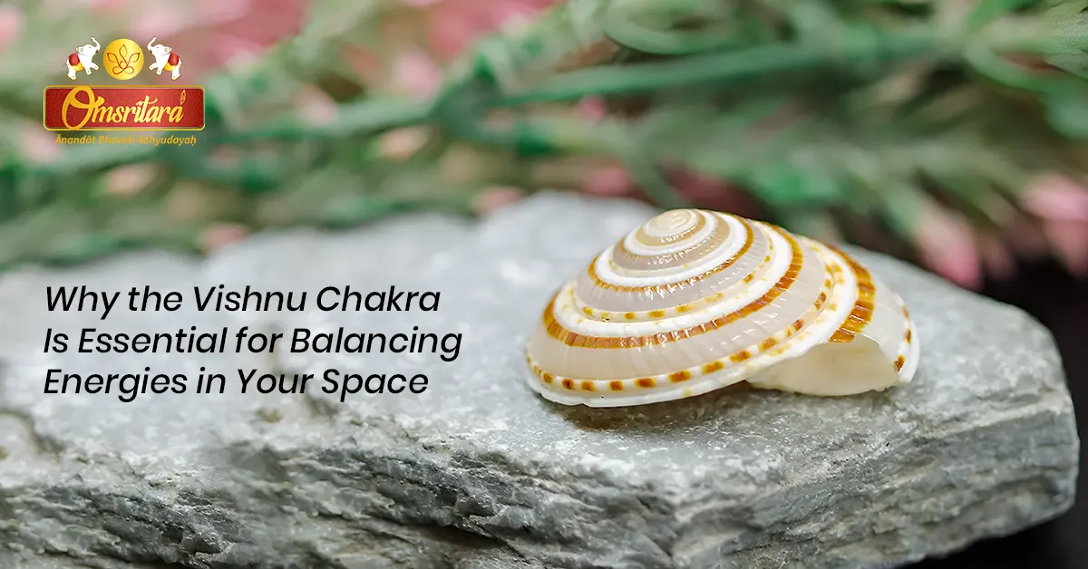 Why the Vishnu Chakra Is Essential for Balancing Energies in Your Space
