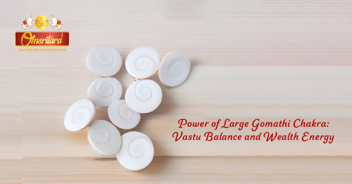 Power of Large Gomathi Chakra: Vastu Balance and Wealth Energy