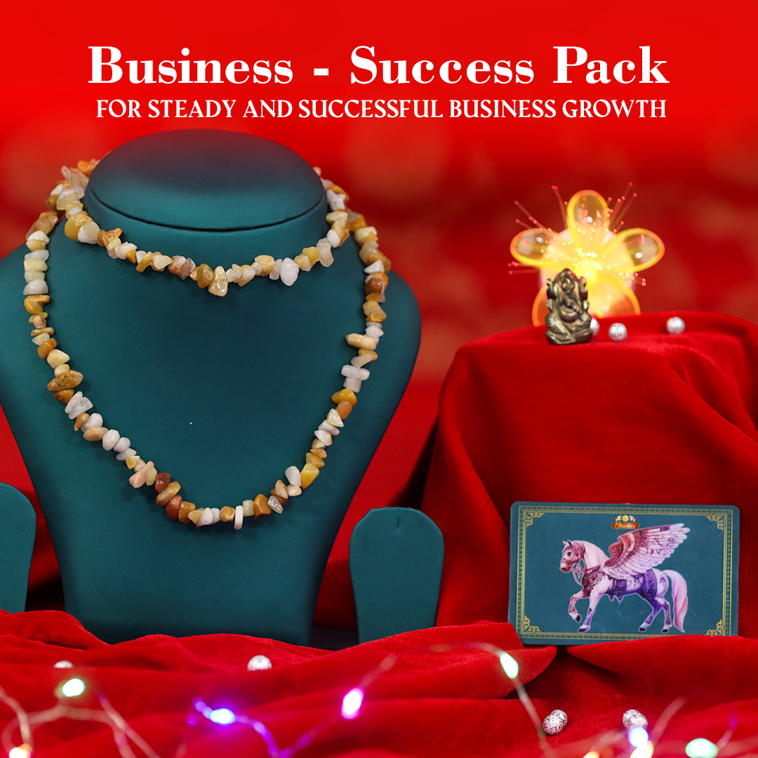 Business - Success Pack