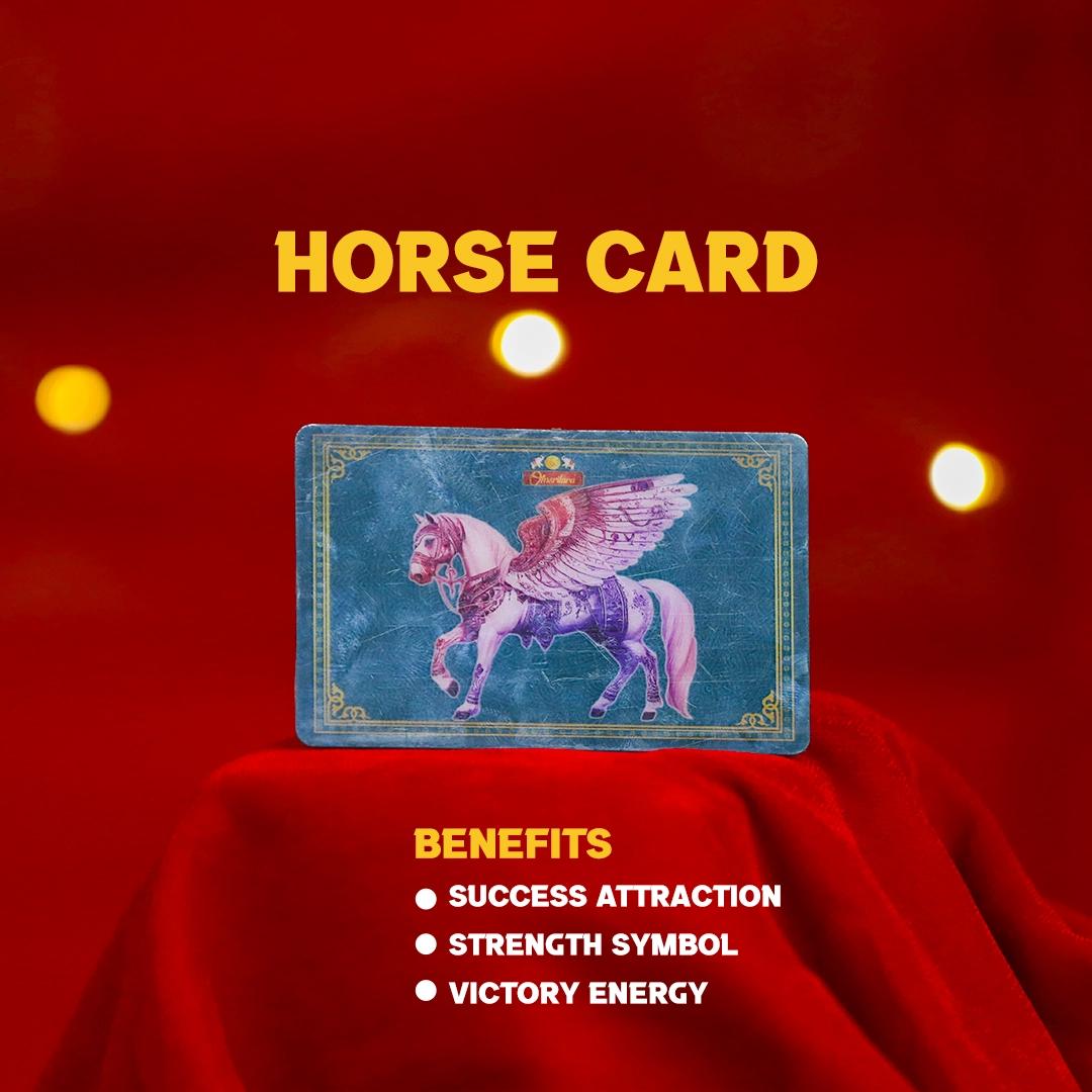 Business - Success Pack - 3