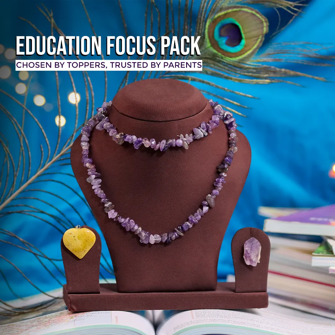Education - Focus Pack